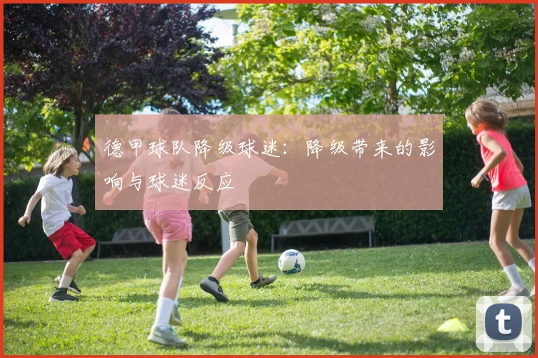 德甲球队降级球迷:降级带来的影响与球迷反应