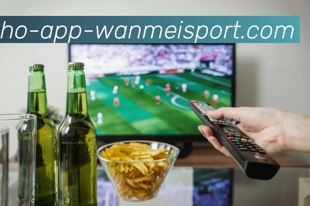 完美体育发展历程